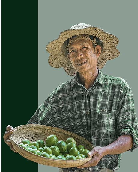pasin farm